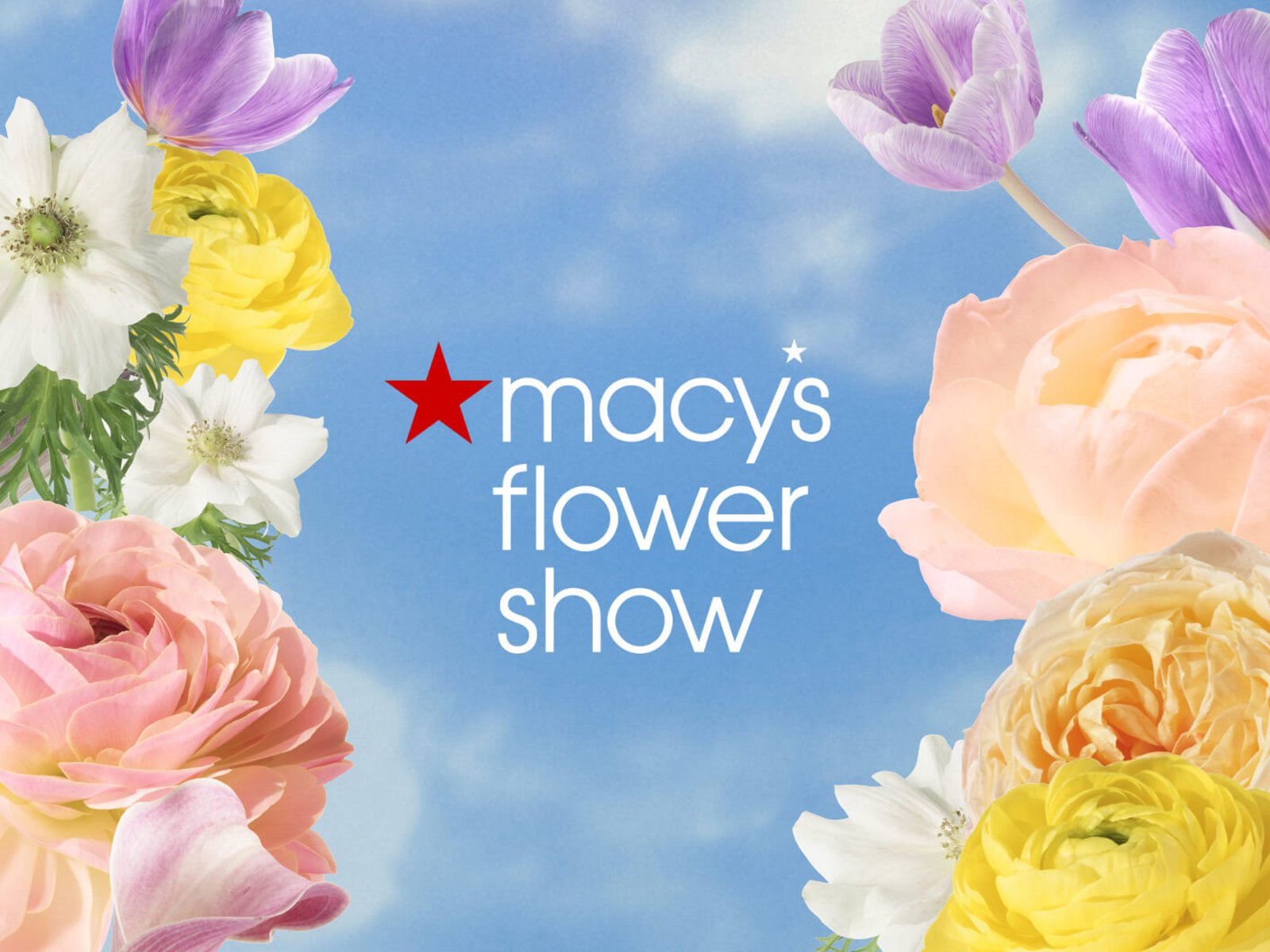 macy's flower show